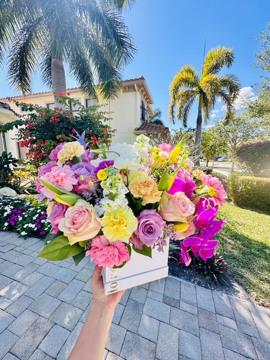 Spring Box