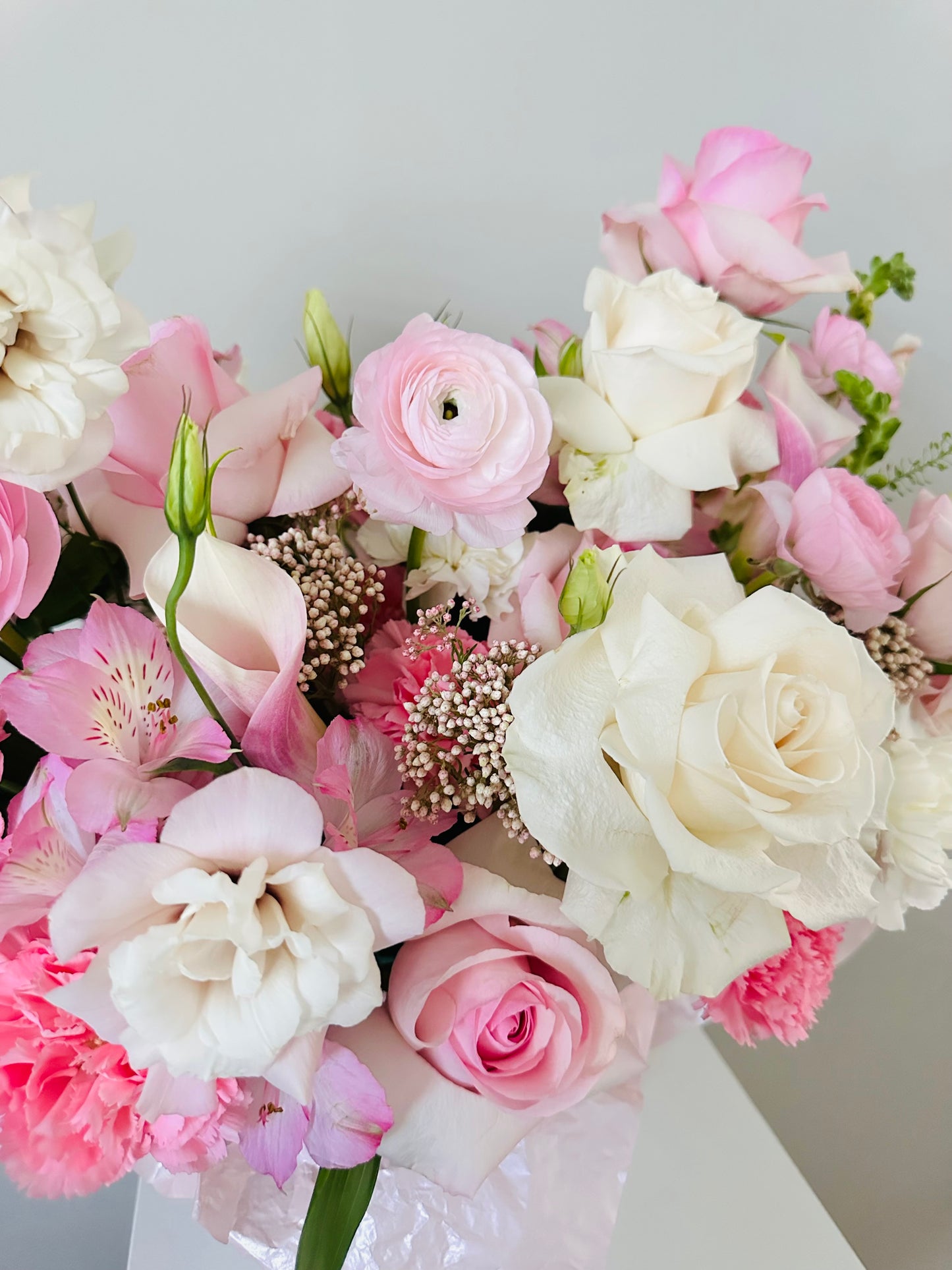 Dolce Encanto Box