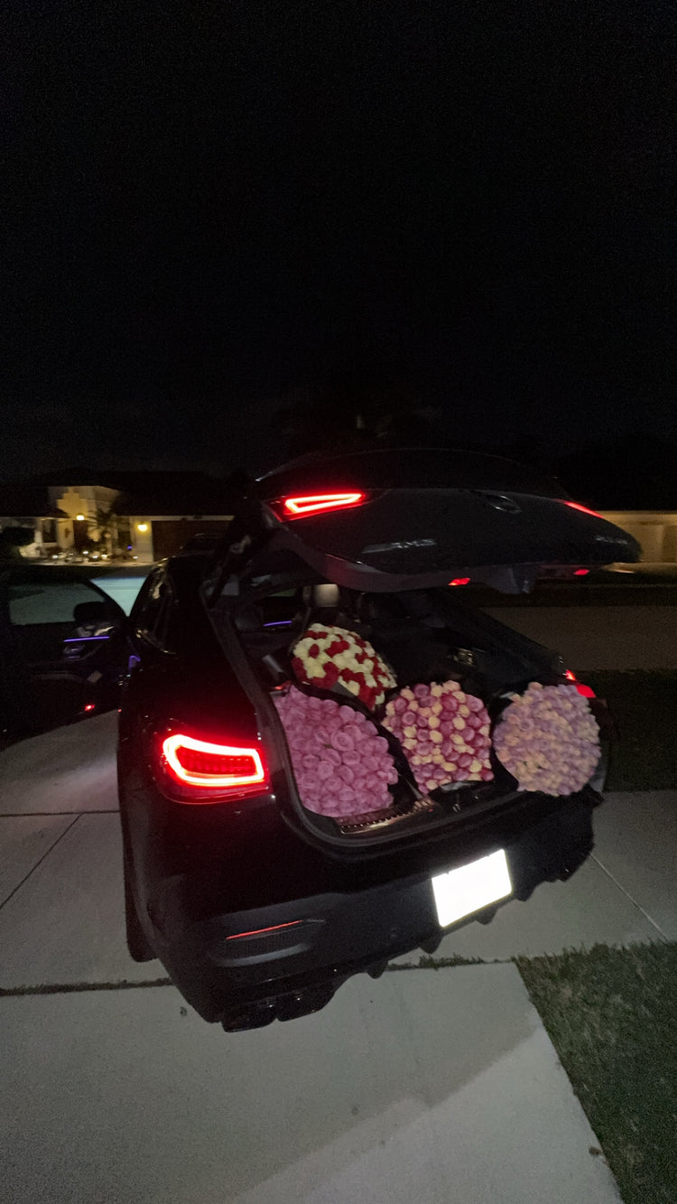 Valentine's Collection