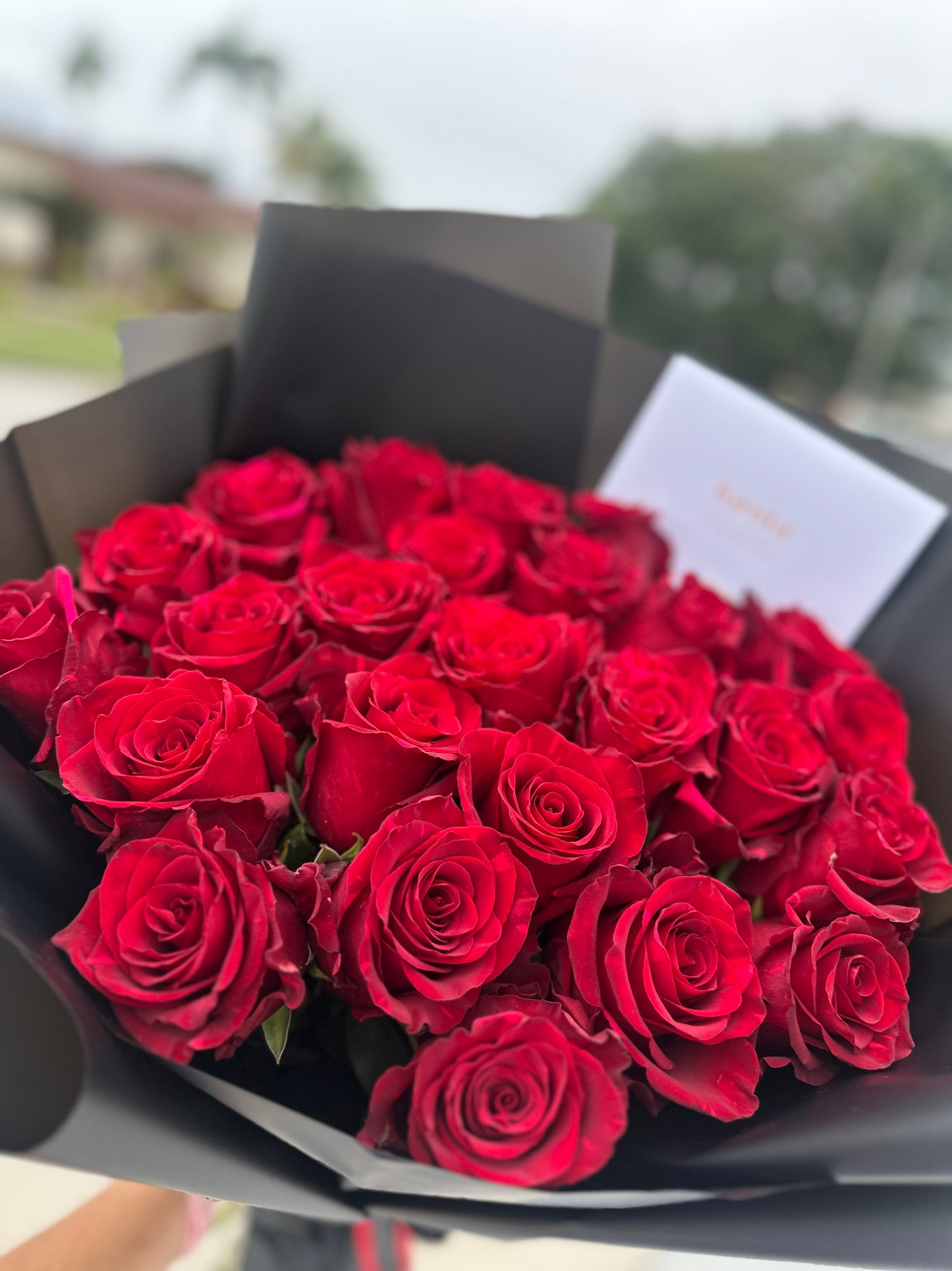 Scarlet Passion - Valentine's Red Roses Bouquet