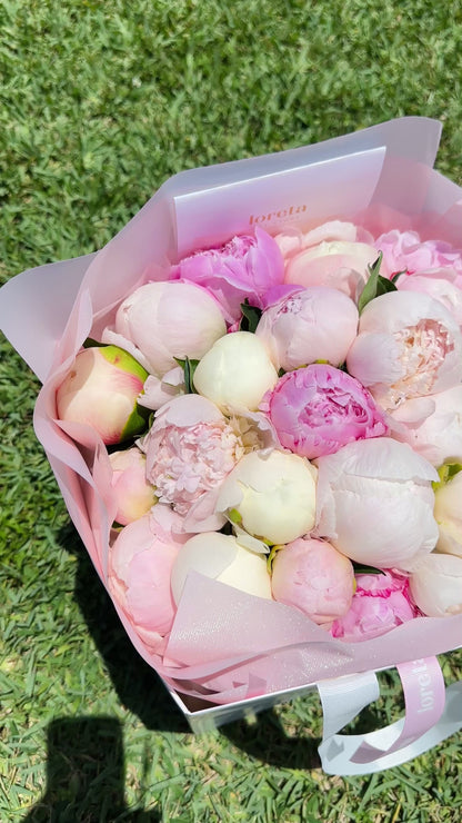 Spring Dreams